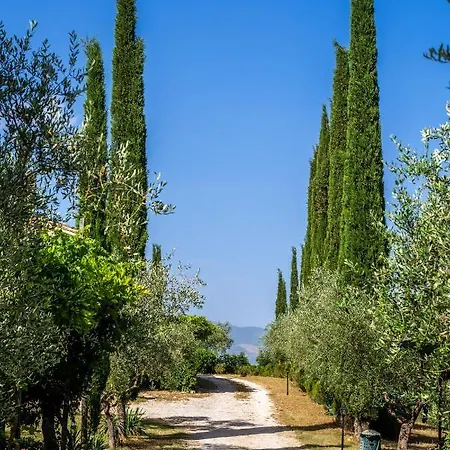 La Fonte Bevagna