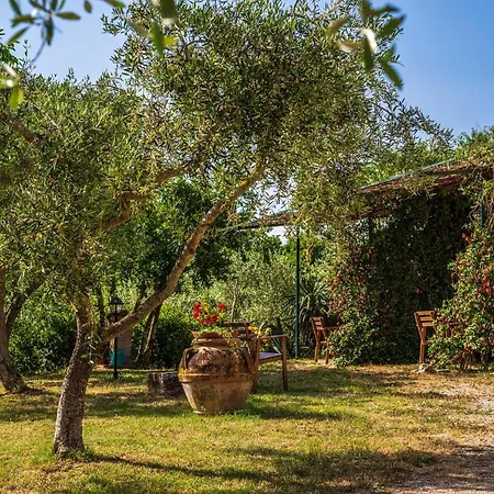 La Fonte Bevagna