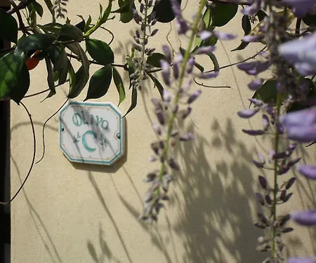 La Fonte ファームステイ *