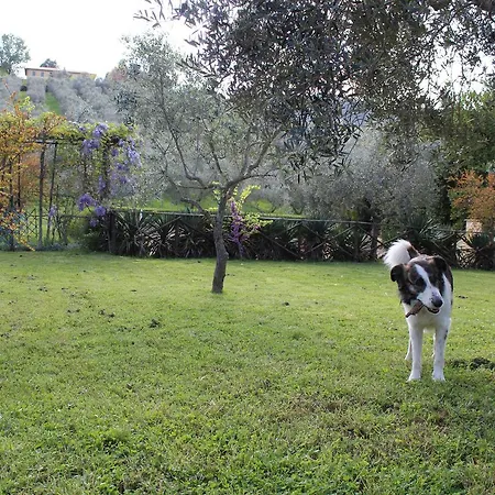 Alloggio per agriturismo La Fonte *